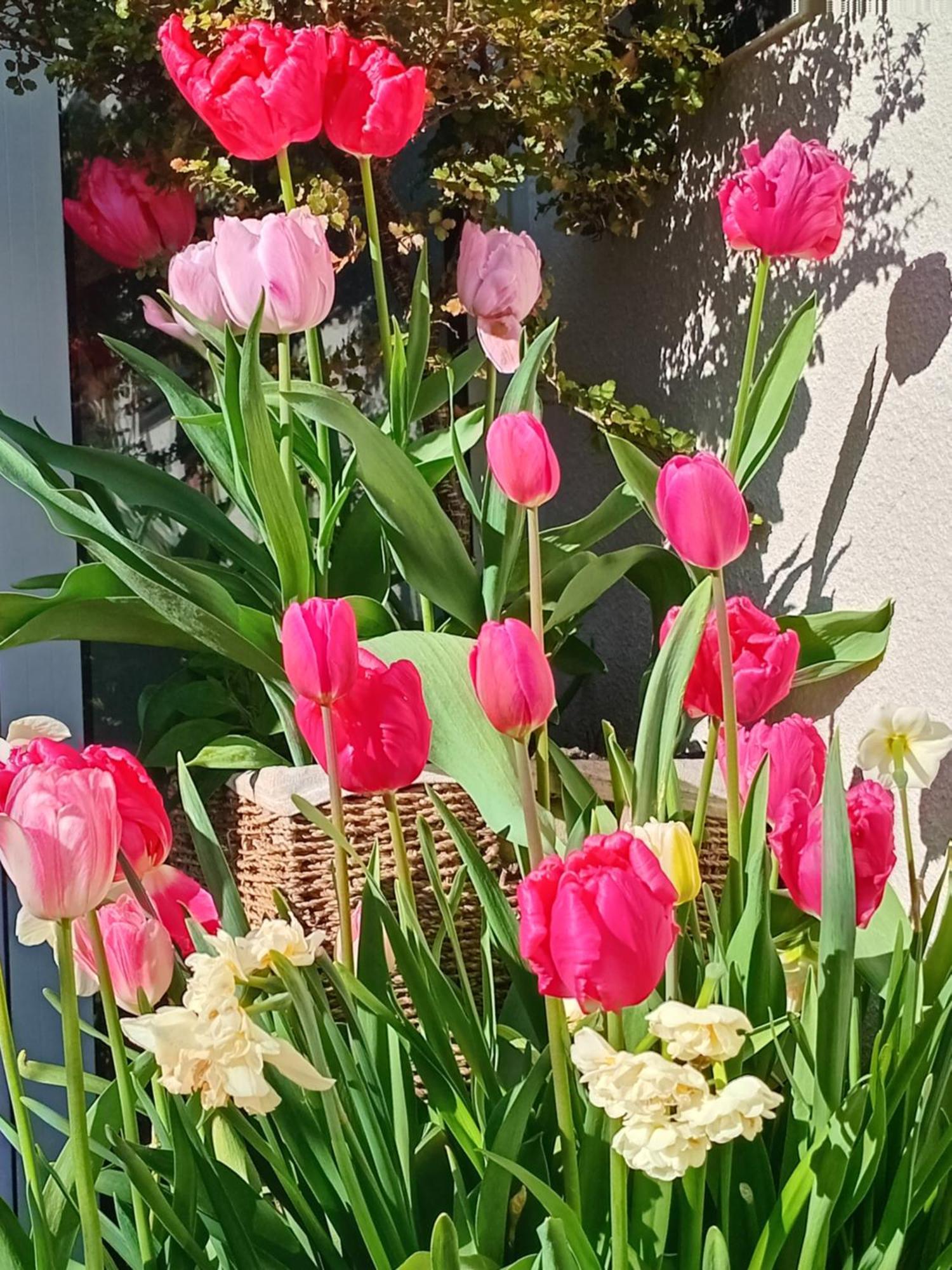 Queenstown Retreat Εξωτερικό φωτογραφία